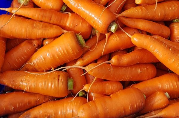fresh organic carrots