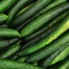 image of fresh organic cucumber