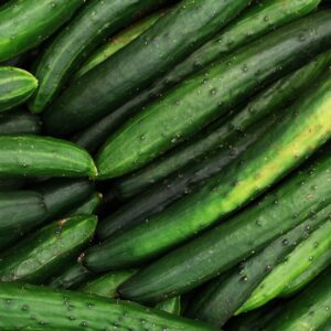 Fresh Organic cucumber