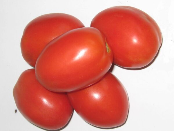 fresh organic tomatoes