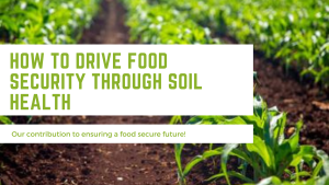 how to drive food security through soil health