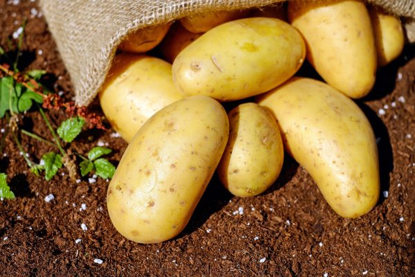 image of irish potatoes