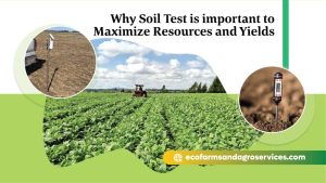 Why Soil Test is important to maximize Resources and Yields