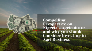 Compelling Perspective on Nigeria’s Agriculture and why you should Consider Investing in Agri Business