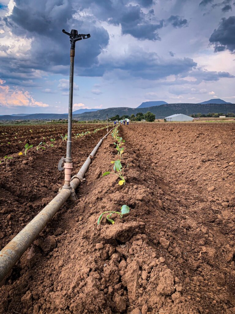 image of sprinkler irrigation in a ploughed field