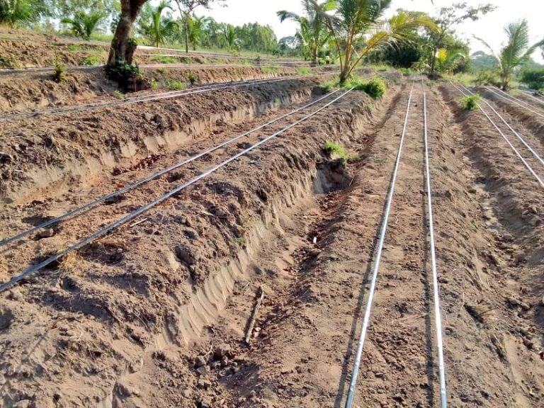 image of Drip irrigation in a ploughed field